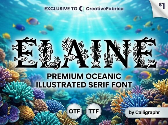 Elaine: A Decorative Display Font That Elevates Handmade Products