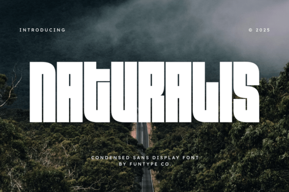 Naturalis: A Bold, Clean Sans Serif Display Font for Makers